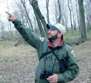 A Presque Isle naturalist points out interesting facts about a native tree