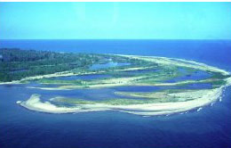 ariel view of Gull Point