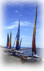 boats at Presque Isle beach